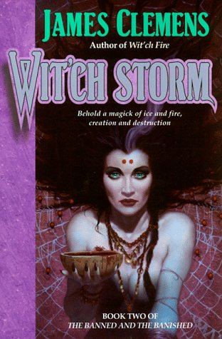 cover image Wit'ch Storm: Book Two of the Banned and the Bannished