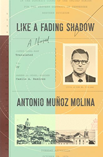 cover image Like a Fading Shadow