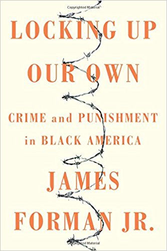 cover image Locking Up Our Own: Crime and Punishment in Black America