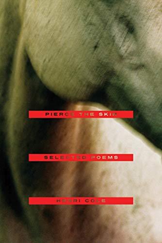 cover image Pierce the Skin