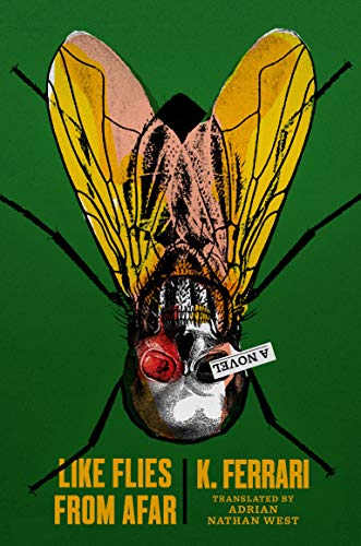 cover image Like Flies from Afar