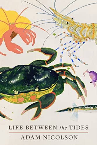 cover image Life Between the Tides