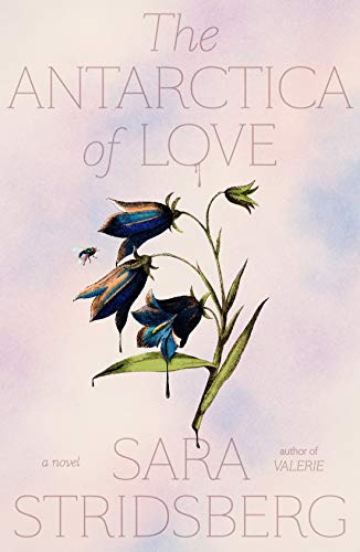 cover image The Antarctica of Love