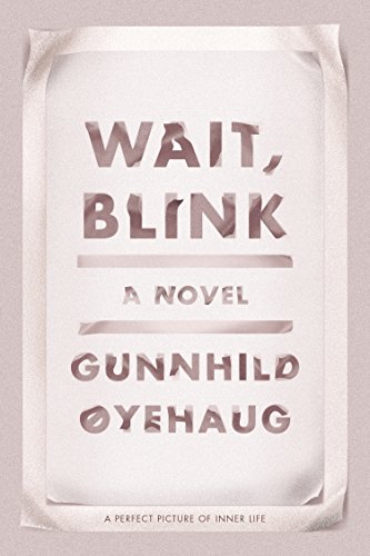 cover image Wait, Blink