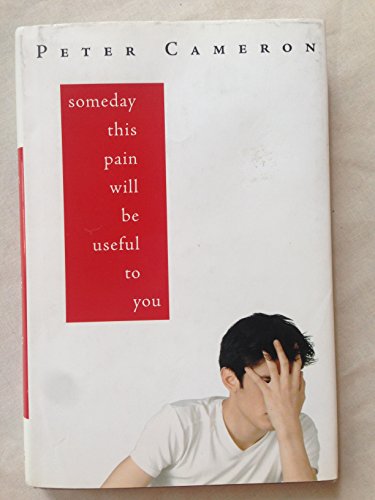 cover image Someday This Pain Will Be Useful to You
