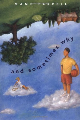 cover image AND SOMETIMES WHY