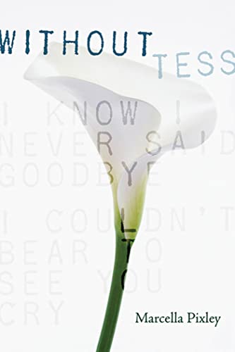 cover image Without Tess