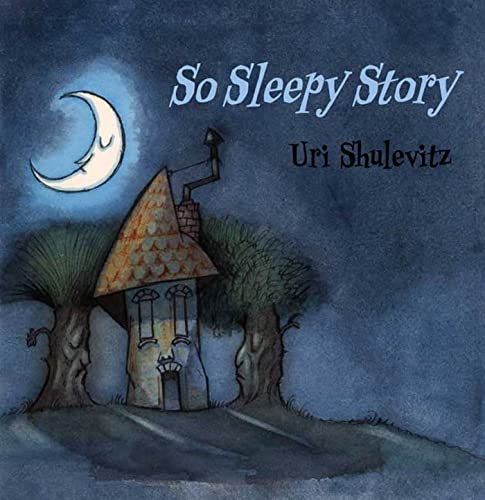 cover image So Sleepy Story