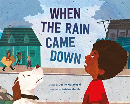cover image When the Rain Came Down