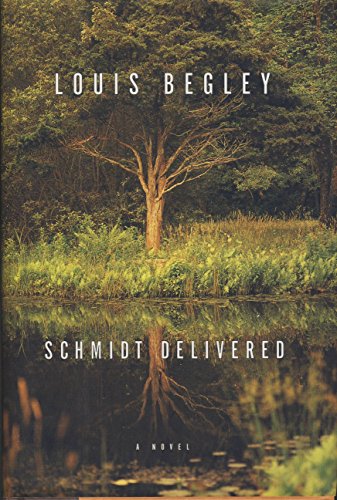 cover image Schmidt Delivered