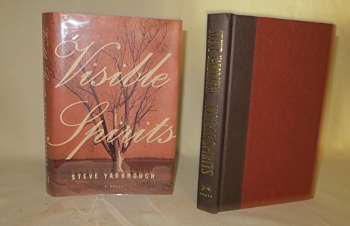 cover image VISIBLE SPIRITS