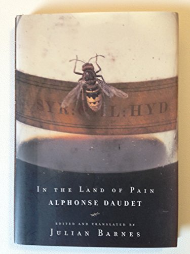 cover image IN THE LAND OF PAIN