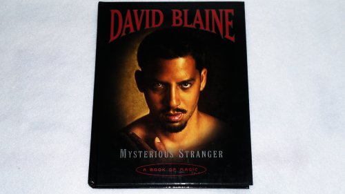cover image MYSTERIOUS STRANGER: A Magic Journey