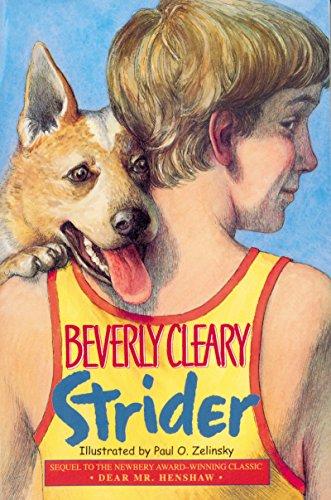 cover image Strider