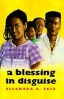 cover image A Blessing in Disguise