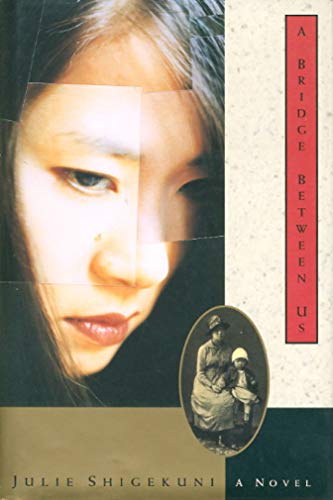 cover image A Bridge Between Us
