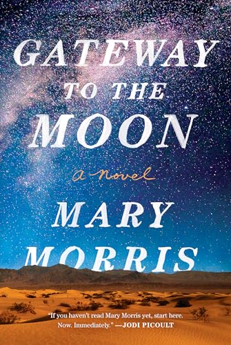 cover image Gateway to the Moon