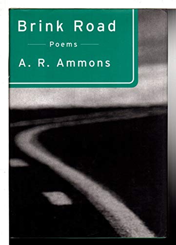cover image Brink Road