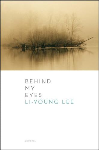 cover image Behind My Eyes