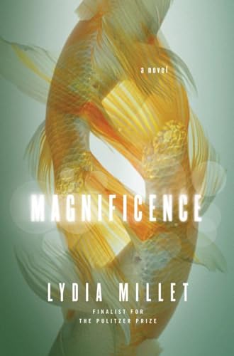 cover image Magnificence