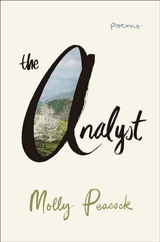 cover image The Analyst
