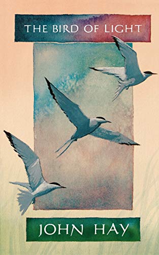 cover image The Bird of Light