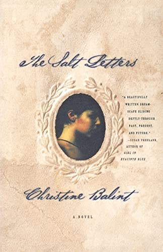 cover image THE SALT LETTERS