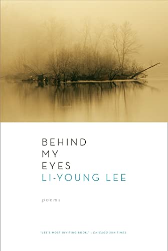 cover image The Undressing