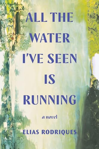 cover image All the Water I’ve Seen Is Running