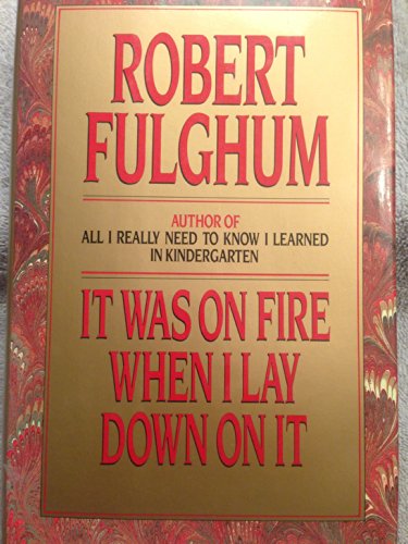 cover image It Was on Fire When I Lay Down on It