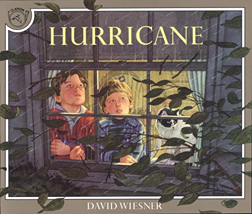 cover image Hurricane