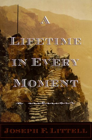 cover image A Lifetime in Every Moment