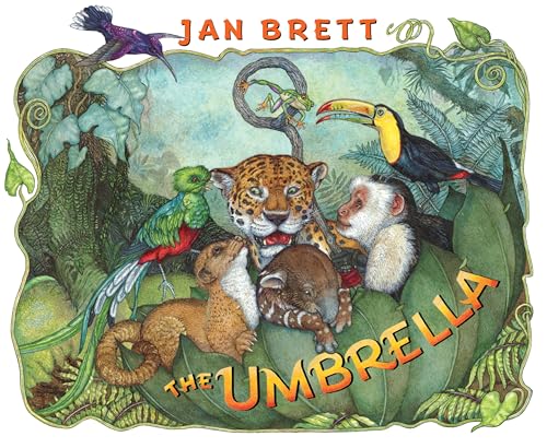 cover image THE UMBRELLA