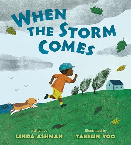 cover image When the Storm Comes