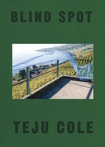 cover image Blind Spot