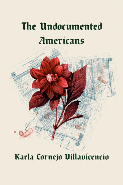 cover image The Undocumented Americans