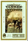 cover image Connecticut Yankee in New York