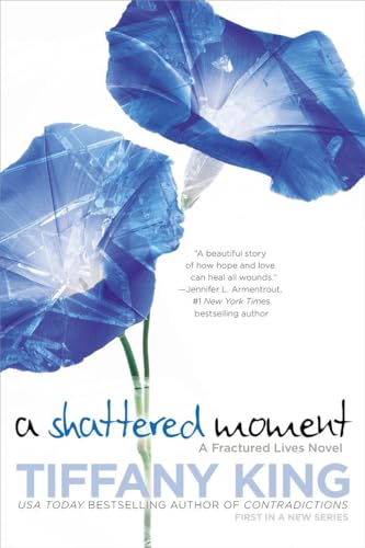 cover image A Shattered Moment