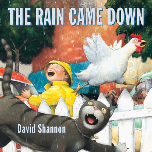 cover image The Rain Came Down