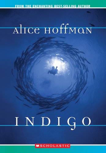 cover image INDIGO