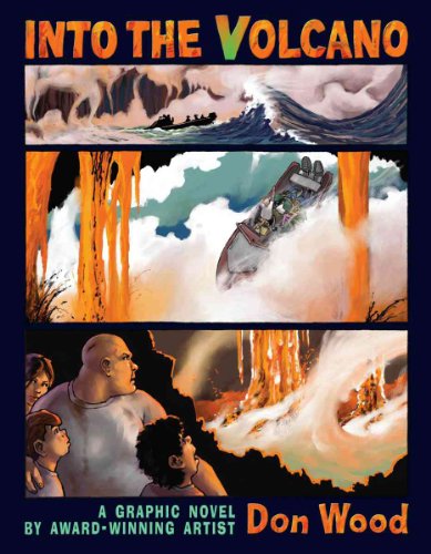 cover image Into the Volcano