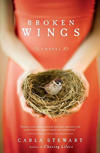 cover image Broken Wings