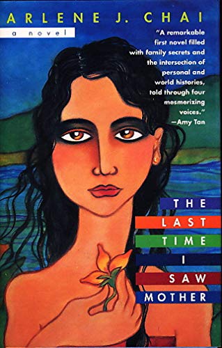 cover image The Last Time I Saw Mother