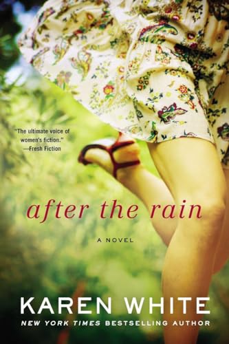 cover image After the Rain