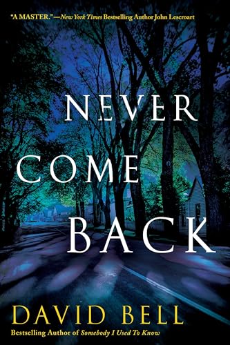 cover image Never Come Back