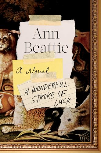 cover image A Wonderful Stroke of Luck