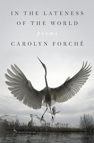 cover image In the Lateness of the World