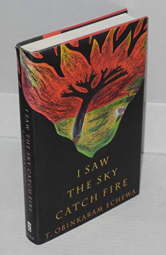 cover image I Saw the Sky Catch Fire