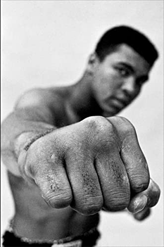 cover image Ali: A Life