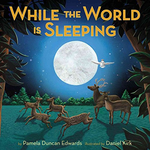 cover image While the World Is Sleeping